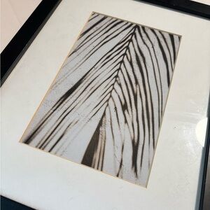 Framed Palm Shadow Wall Art Print - Black & White